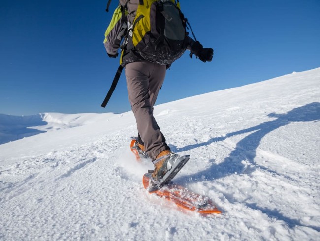 Winterwandern & Schneeschuhwandern in Flachau © Shutterstock